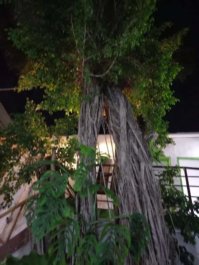 Mundo Maya Tulum Hotel